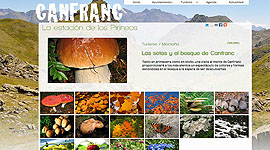 Canfranc renews its website