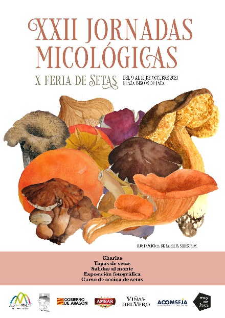 XXII Jornadas Micol�gicas de Jaca y Feria de Setas