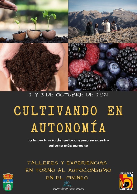 Talleres y experiencias 
