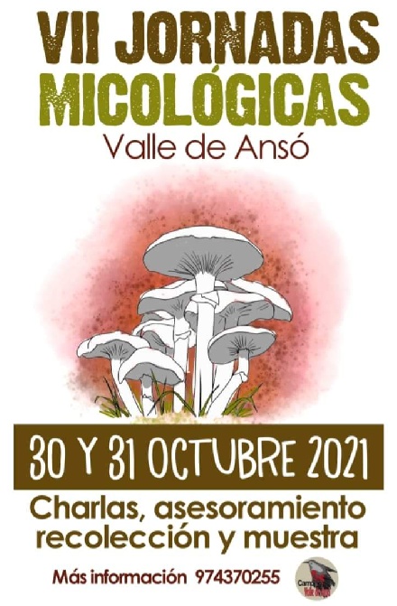 VII Jornadas Micol�gicas Valle de Ans�