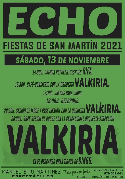 Fiestas de San Mart�n, en Echo