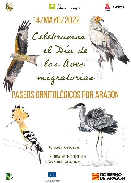 Paseos ornitológicos en Ansó y San Juan de la Peña