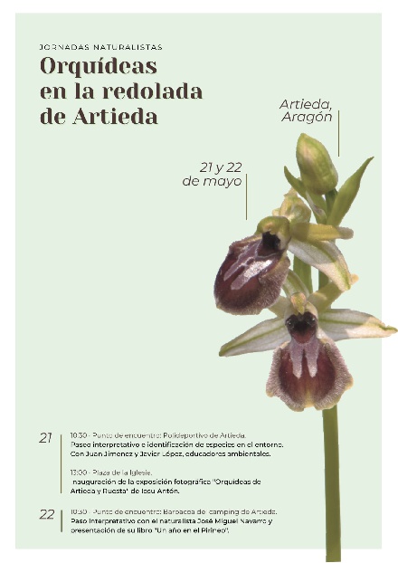 Jornadas Naturalistas Orqu�deas en la redolada de Artieda