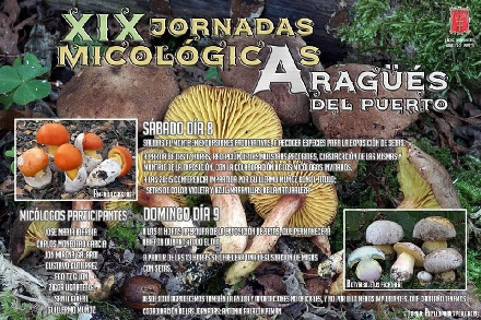 Jornadas Micológicas, en Aragüés del Puerto