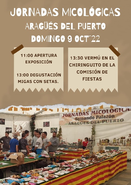 Jornadas Micol�gicas, en Arag��s del Puerto