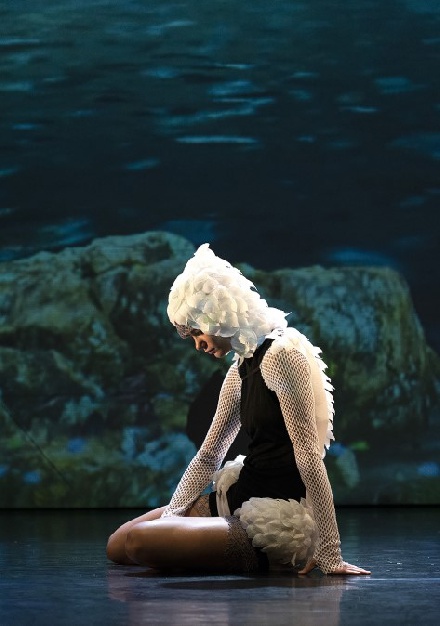 Danza ‘El lago de los cisnes 3D’, en Jaca