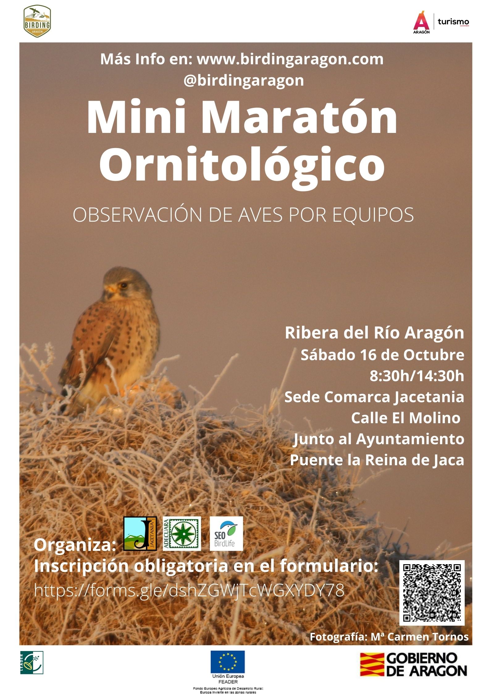 Mini-Maratón ornitológico en la Comarca de La Jacetania