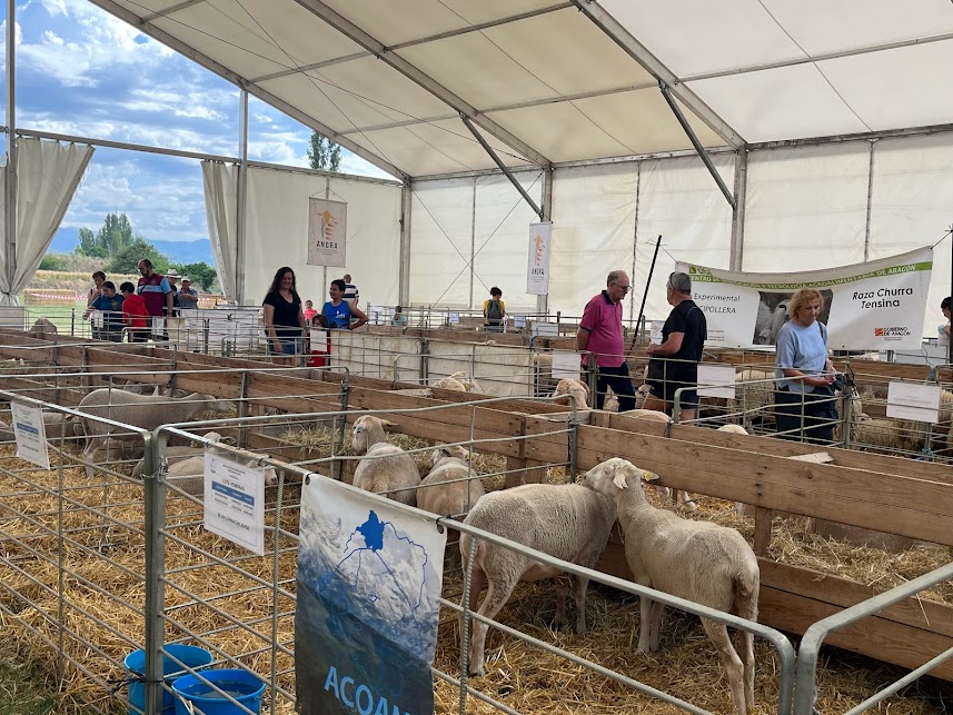 La Feria Expoforga se celebrar los das 3 y 4 de junio en Puente la Reina de Jaca