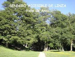 Sendero Accesible de Linza