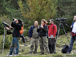 Jacetania's Birdwatching Tourism