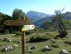 Itinraire cologique dans la fort de Gamueta