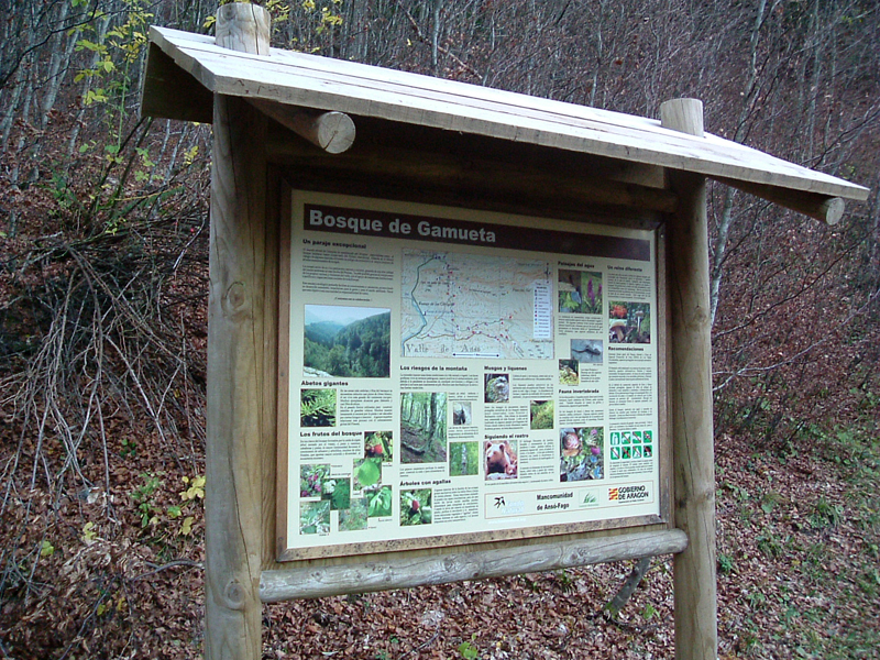 Itinerario ecológico en el Bosque de Gamueta